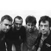 Subhumans